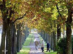 Parques e Áreas Verdes no Jabaquara